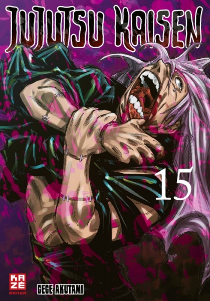 Jujutsu Kaisen 15